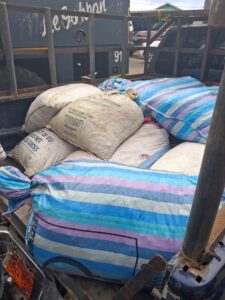 several bags of Pangolin scales seized in Liberia