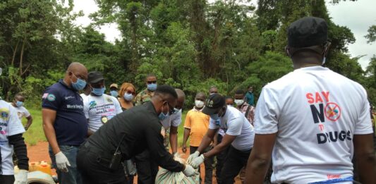 LDEA Grand Gedeh Detachment Destroys Over US$52,000 Worth of Illegal Drugs
