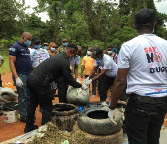 LDEA Grand Gedeh Detachment Destroys Over US$52,000 Worth of Illegal Drugs