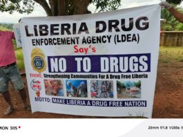 LDEA Grand Gedeh Detachment Launches Cleanup and Awareness Campaign Ahead of International Drugs Day