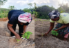 Reform for Rural Initiative, MAP Liberia Land Platform, Partners Mark International Year of Women Farmers MAP Liberia