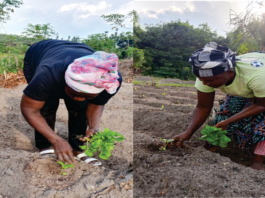Reform for Rural Initiative, MAP Liberia Land Platform, Partners Mark International Year of Women Farmers MAP Liberia