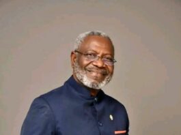 Battle for 2029 Senate Seat Begins to Take Shape in Grand Gedeh