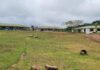 Lofa County University Officially Launches Annex-1 in Fessibu, Expanding Access to Higher Education Lofa University Fissibu Annnex