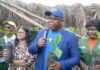 LACRA Begins Distribution of 750,000 Coffee Seedlings to Revive Liberia’s Coffee Industry