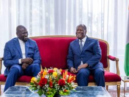 Côte d’Ivoire and Guinea Commit to Deepening Economic Cooperation
