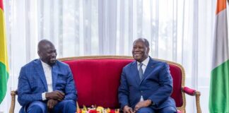 Côte d’Ivoire and Guinea Commit to Deepening Economic Cooperation