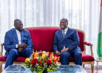 Côte d’Ivoire and Guinea Commit to Deepening Economic Cooperation