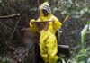 Counting Bees, Building Futures: Liberia’s First Honeybee Survey Maps a Path for Growth